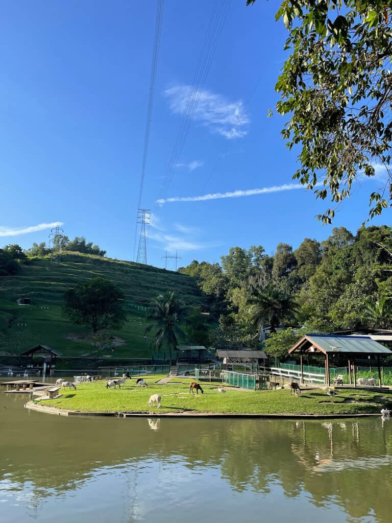 Bukit Jelutong Eco Community Park